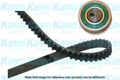 KAVO PARTS dkt3013 -  Комплект ремня ГРМ